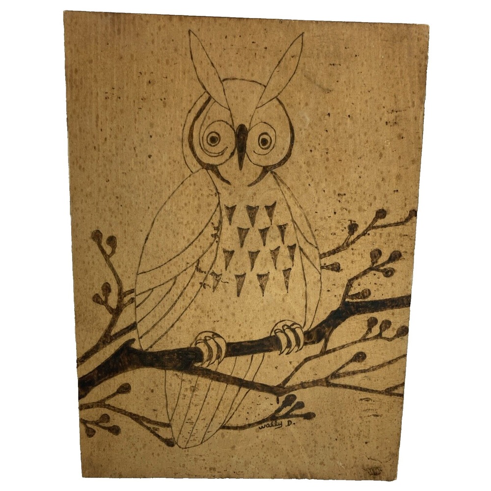 Vtg Owl Pyrograpgy Original Art Signed Woodwork Folk Art 8"x11